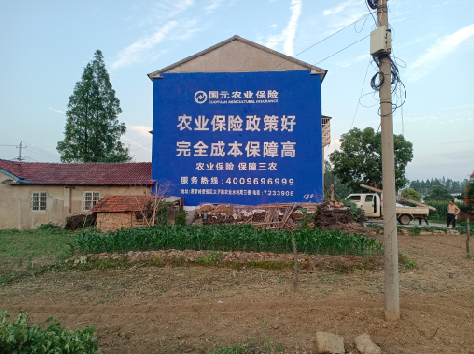 房县墙体广告为何受追捧？